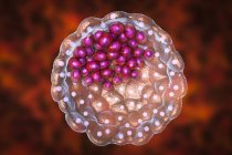 Blastocyste boule creuse de cellules avec fluide, illustration numérique . — Photo de stock