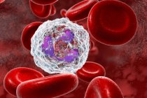 Нейтрофильные лейкоциты в крови, цифровые произведения искусства . — стоковое фото