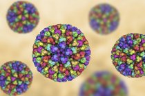 Цифровая иллюстрация основных частиц вируса Bluetongue с белками, представленными цветными пятнами
. — стоковое фото