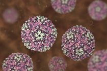 Круглий Coxsackievirus частинок, цифрова ілюстрація. — стокове фото