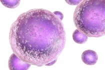 Células madre embrionarias humanas coloreadas, ilustración digital
. - foto de stock