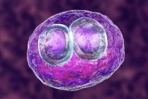 Digitales Kunstwerk menschlicher Zelle mit zytomegalischer Einschlusskrankheit Symptom einer Zytomegalievirus-Infektion. — Stockfoto