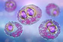 Цифровий ілюстрації людських клітин з cytomegalic включення симптом хвороби цитомегаловірус інфекції. — стокове фото