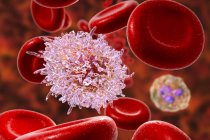 Цифровая иллюстрация аномальных клеток крови, инфицированных волосатым клеточным лейкозом
. — стоковое фото