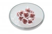 Conceptual digital illustration of artificial fertilization with blastocyst in Petri dish. — Stock Photo