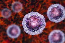 Цветные эмбриональные стволовые клетки человека, цифровая иллюстрация
. — стоковое фото