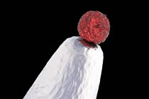 Cellule souche embryonnaire humaine à l'extrémité de la broche, illustration numérique conceptuelle . — Photo de stock