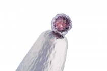 Cellule souche embryonnaire humaine à l'extrémité de la broche, illustration numérique conceptuelle . — Photo de stock