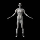 Silueta masculina musculatura humana sobre fondo negro, ilustración . - foto de stock