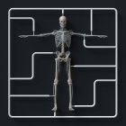 Modèle squelette kit sur fond noir, illustration . — Photo de stock