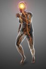 Running female silhouette with glowing nervous system, digital illustration. — Stock Photo