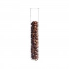 Kaffeebohnen im Reagenzglas auf weißem Hintergrund, Studioaufnahme. — Stockfoto