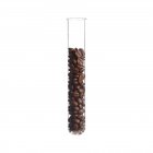 Coffee beans in test tube on white background, studio shot. — Stock Photo
