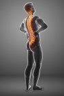 Männliche Silhouette mit Rückenschmerzen, digitale Illustration. — Stockfoto