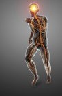 Silueta masculina con sistema nervioso brillante, ilustración digital . - foto de stock
