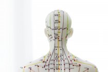 Modelo de acupuntura con acupuntura y caracteres chinos, plano de estudio - foto de stock