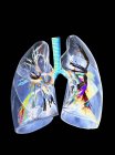Ilustración tridimensional digital de los pulmones humanos . - foto de stock