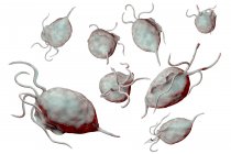 Trichomonas vaginalis microorganismos parásitos causantes de tricomoniasis, ilustración digital . - foto de stock