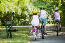 Rear view of children wearing helmets and cycling in summer park. — Stock Photo