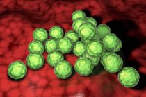 Chlamydia trachomatis клетки бактерий, цифровая иллюстрация . — стоковое фото