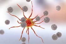 Цифровий ілюстрації клітин Т-лімфоцитів атакувати червоних ракова клітина. — стокове фото