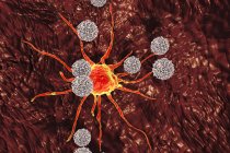 Digitales Kunstwerk von T-Lymphozyten-Zellen, die rote Krebszellen angreifen. — Stockfoto