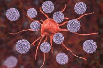 Цифровой рисунок Т-лимфоцитов, атакующих красные раковые клетки . — стоковое фото