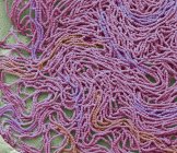 Мікрофотографія бактеріальна культура від мокротиння. — стокове фото