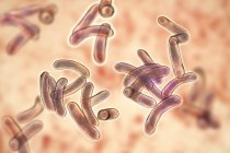 Gruppe von Flagellen-Cholera-Bakterien, digitale Illustration. — Stockfoto