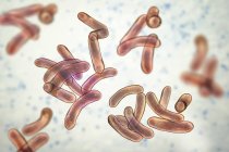 Grupo de bacterias flagella cólera, ilustración digital . - foto de stock