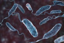 Grupo de bactérias flagelos cólera, ilustração digital . — Fotografia de Stock