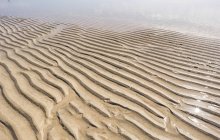 Природний візерунок брижі на піску в посушливій пустелі . — стокове фото