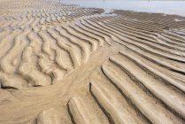 Padrão natural de ondulações na areia no deserto árido . — Fotografia de Stock