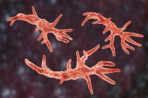 Balamuthia mandrillaris amoeba organisms, digital illustration. — Stock Photo