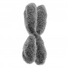 Крупный план 3D-иллюстрации X-хромосомы на белом фоне . — стоковое фото
