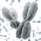 Ilustración en 3D de los cromosomas XY sobre fondo blanco . - foto de stock