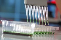 Close-up of multipipette sampling liquid into tube rack in laboratory. — Stock Photo
