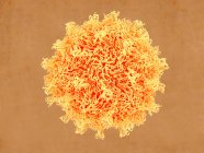 Coxsackievirus virus particle, medical illustration. — Stock Photo