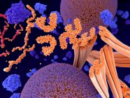 Tau-Protein bei Alzheimer, medizinische Illustration. — Stockfoto