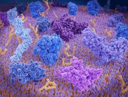 Активная иммунотерапия раковых клеток ЦАР, медицинская иллюстрация . — стоковое фото