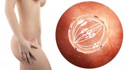 Illustration der Silhouette einer schwangeren Frau mit sichtbarem Uterus und sich teilender Eizelle. — Stockfoto