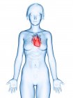 Ілюстрація серця в силует жіноче тіло. — стокове фото