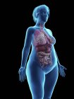 Illustrazione della silhouette blu della donna obesa con organi interni su sfondo nero . — Foto stock