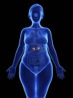 Frontaldarstellung der blauen Silhouette einer fettleibigen Frau mit hervorgehobenen Nebennieren auf schwarzem Hintergrund. — Stockfoto