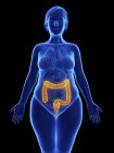 Frontal illustration of blue silhouette of obese woman with highlighted colon on black background. — Stock Photo