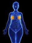 Frontal illustration of blue silhouette of obese woman with highlighted mammary glands on black background. — Stock Photo