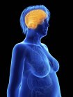 Abbildung auf Schwarz der Silhouette einer fettleibigen Frau mit hervorgehobenem Gehirn. — Stockfoto