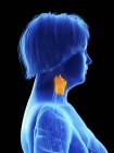 Side view illustration on black of silhouette of obese woman with highlighted larynx. — Stock Photo