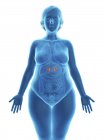 Illustration der blauen Silhouette einer adipösen Frau mit hervorgehobenen Nebennieren. — Stockfoto