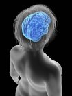 Illustration of silhouette of obese woman with highlighted brain. — Stock Photo